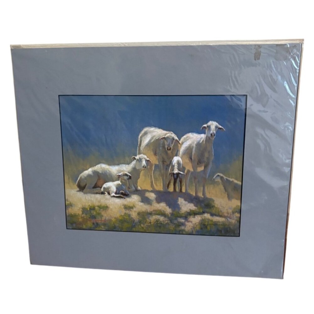 Framed Sheep Artwork Print By Robert Duncan farm nature 10x13" inside READ